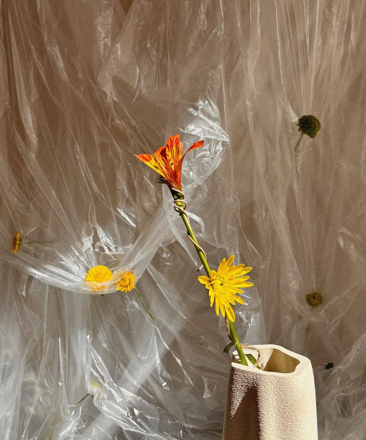 Amanitas Abstract Tall Vase